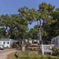 Camping de l'Abri Côtier