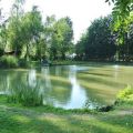 Camping Les Alouettes et l'Image