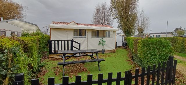 Louisiane Flores sur parcelle